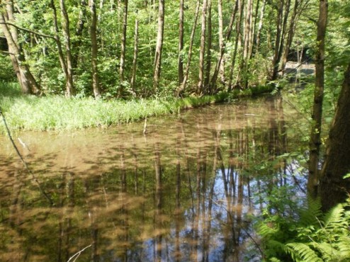 Naturschutzgebiet Murmelbachtal