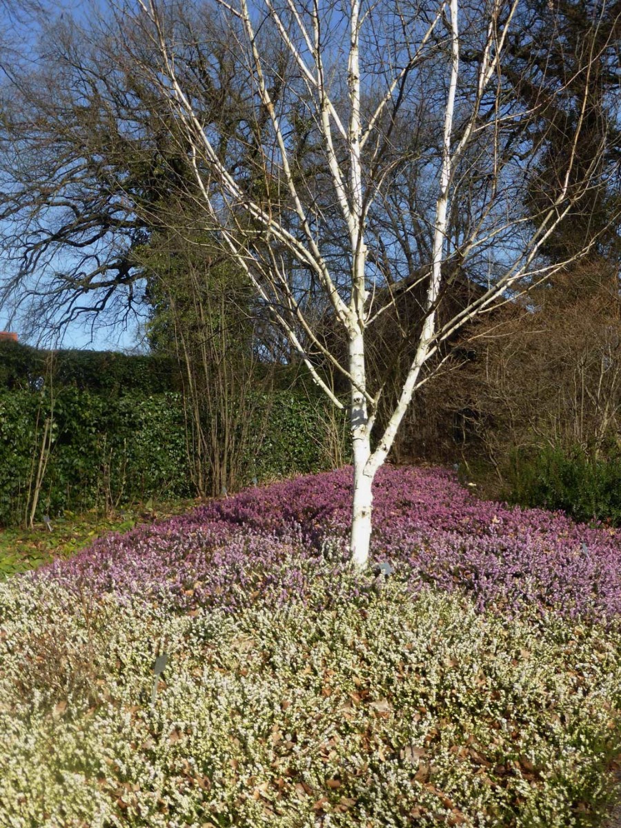 Frühling im Botanischen Garten « Wuppertals grüne Anlagen